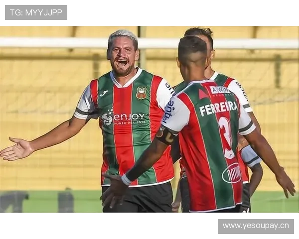 恩佐是否被高估？战术价值与实际表现差距在哪