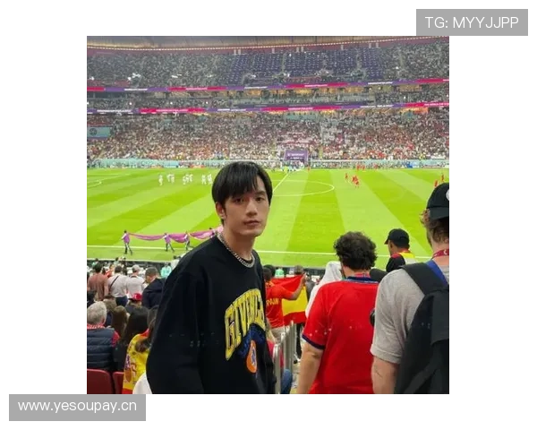 奥地利世界杯机会观察 奥地利世界杯机会观察